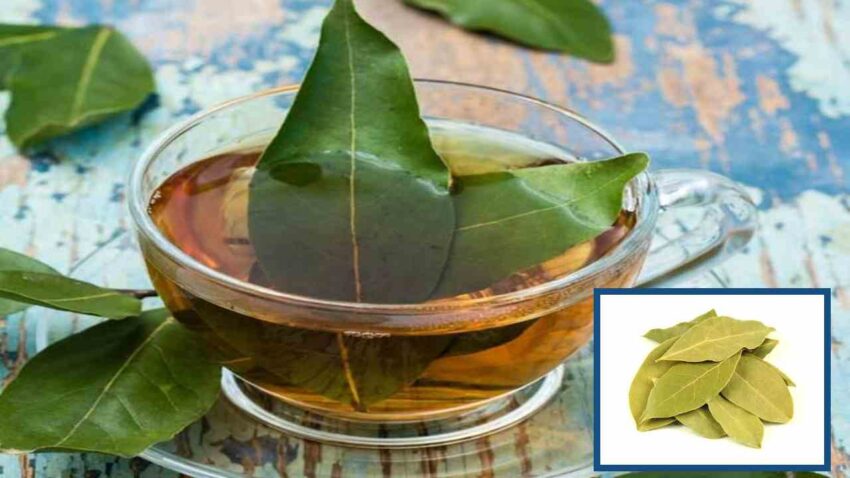 Biryani Leaves: The Secret Ingredient for Authentic Flavor