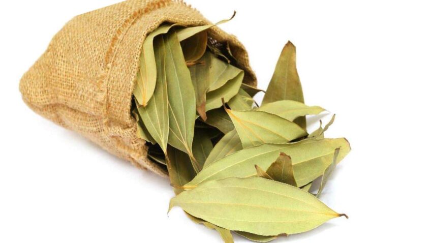 Biryani Leaves Information: The Definitive Guide (Uses, Benefits, More)