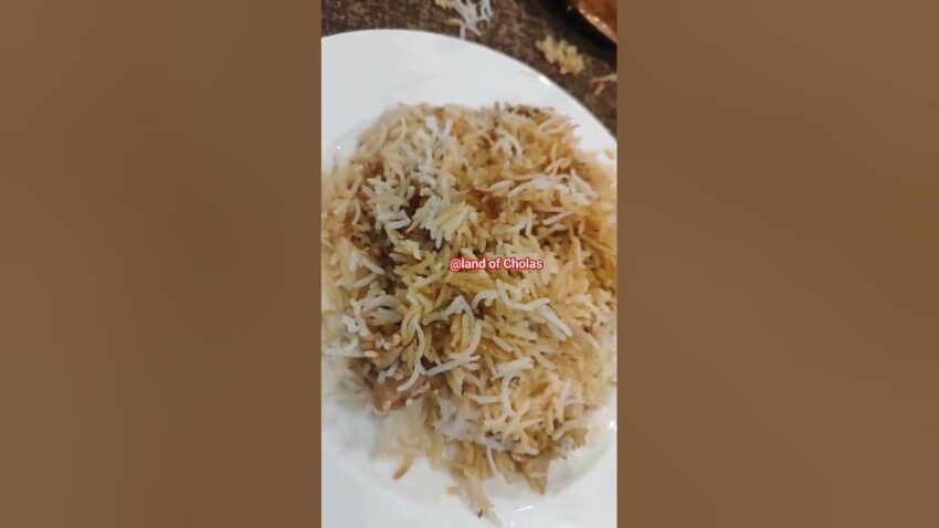 Shadab Biryani: Hyderabad’s Culinary Crown Jewel – A Deep Dive