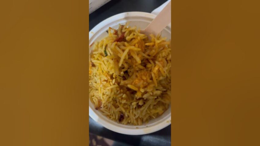 Aneef Biryani Review: Unveiling the Best (and Worst) Bites