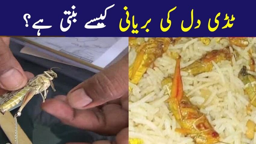 Arnab Locust Biryani: The Ultimate Guide to Flavor, Recipe & More
