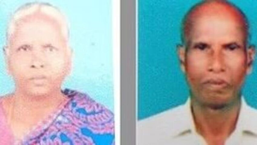 Biryani Murder: Unraveling the Deliciously Deadly Dish & Its Dark Side
