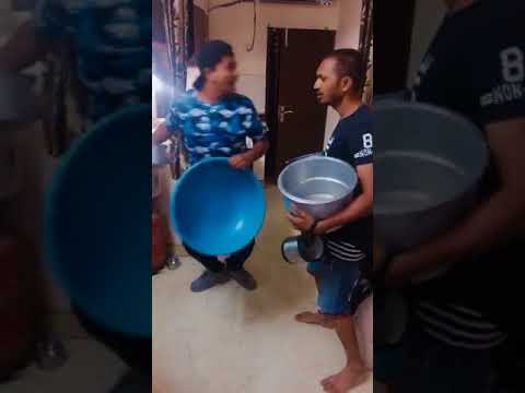 Biryani Bat: The Ultimate Guide to Culinary Cricket!