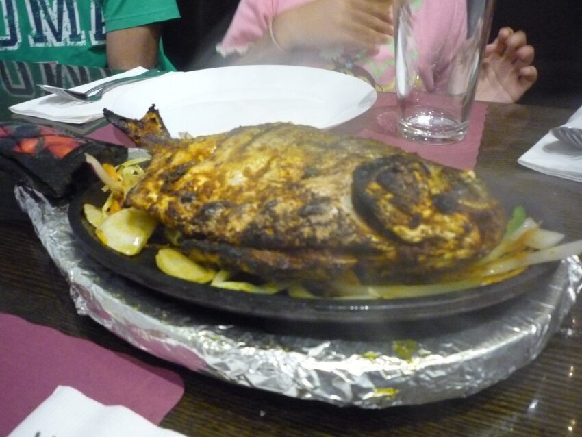Best Biryani in Malvern: Your Ultimate Guide to Flavorful Feasts